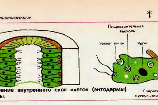 Кракен даркнет только через